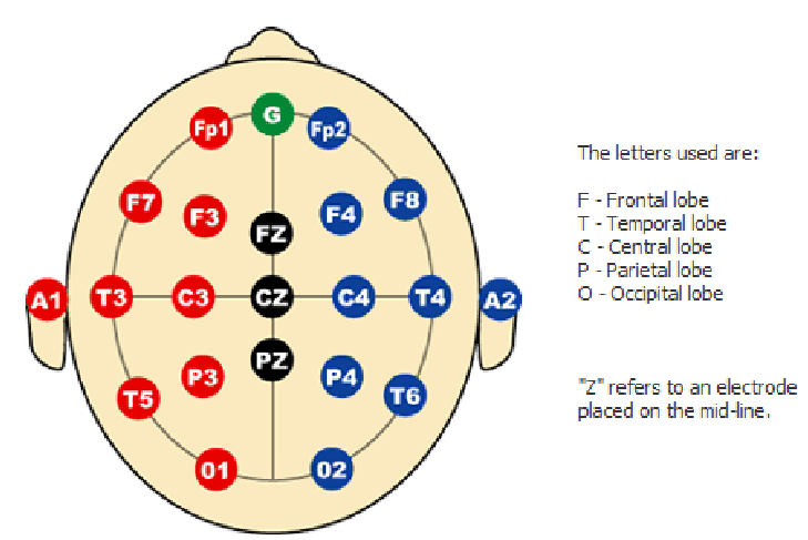 Standard-electrode-map-illustrating-the-commonly-deployed-10-20-System